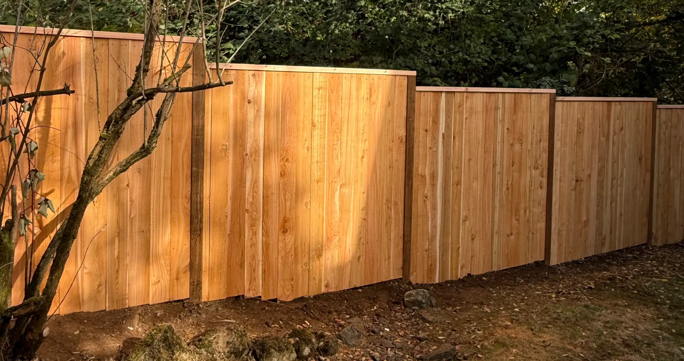 Residential fencing and exterior improvement project
