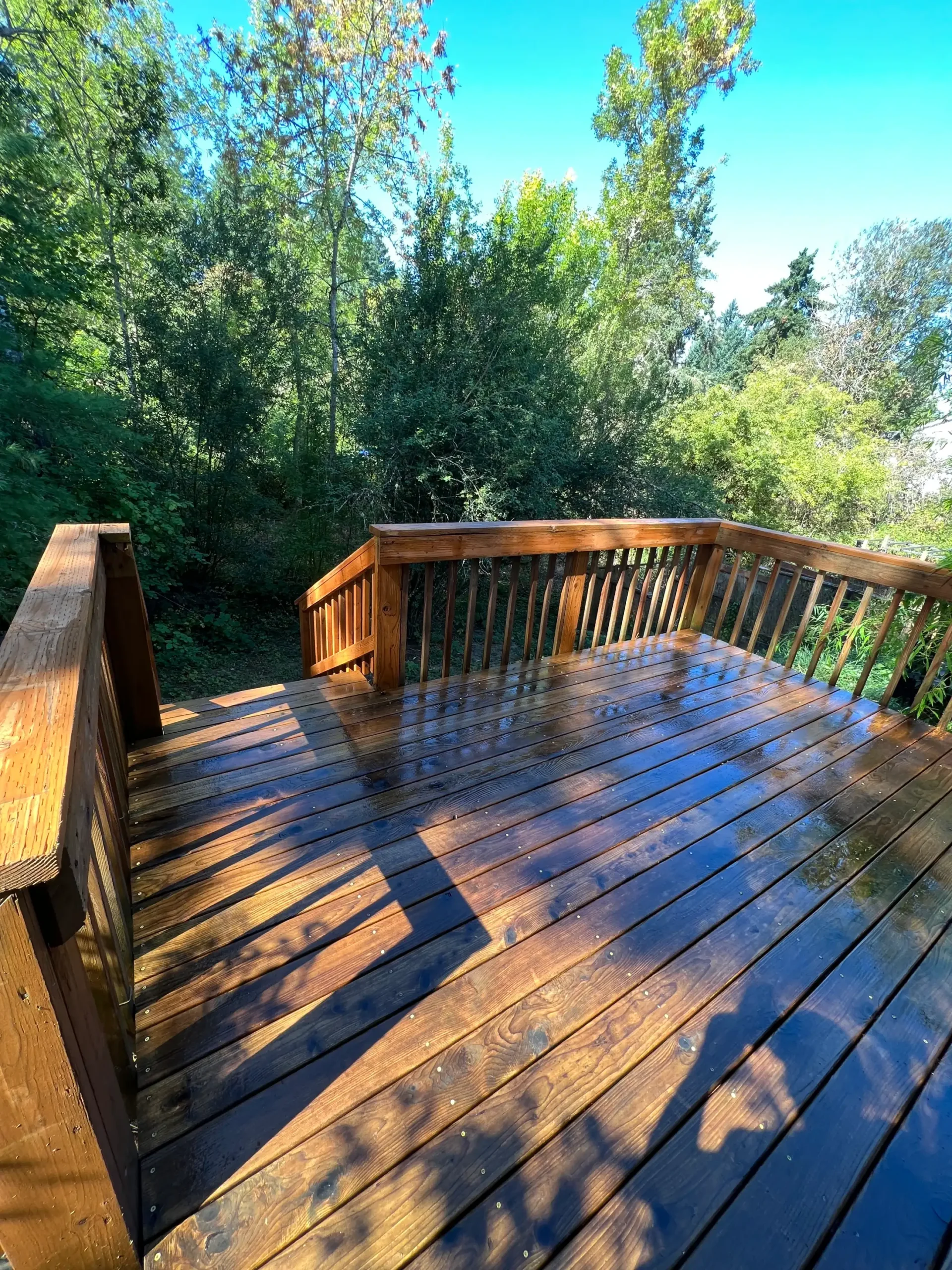 Residential deck and outdoor living renovation photograph